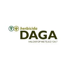 Daga